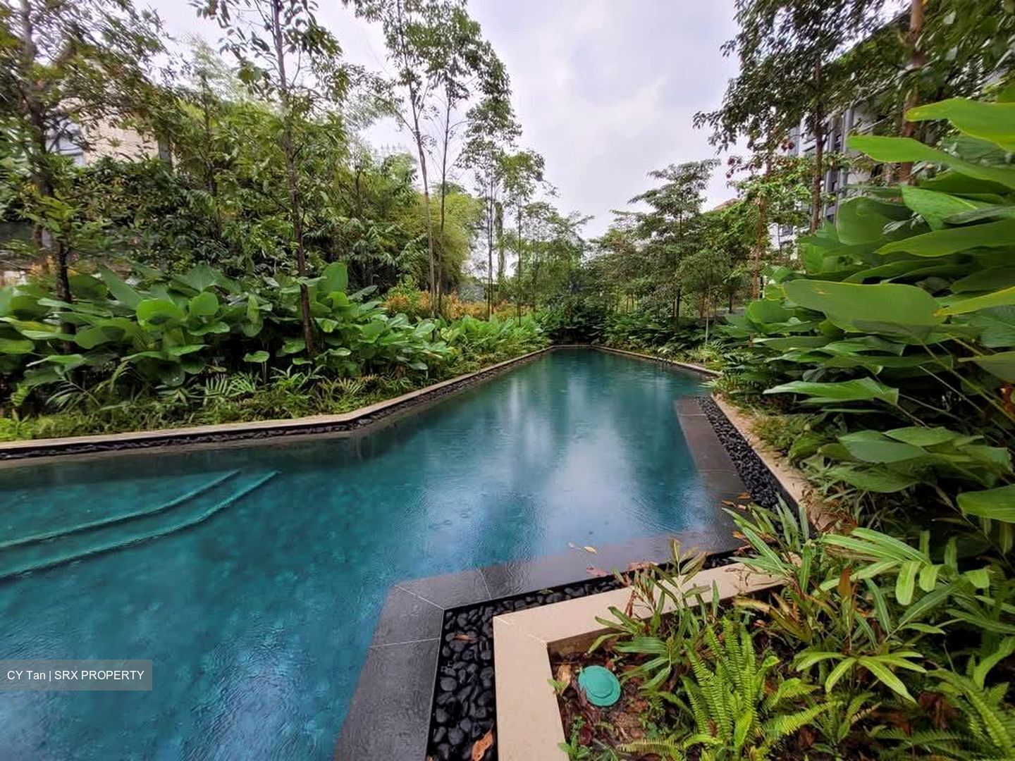 Mayfair Gardens (D21), Condominium #566346811
